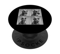 Funny Horse Sunglasses Portrait Equestrian Stallion Mare PopSockets Adhesive PopGrip
