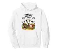 Funny I Axolotl Questions Pre K Pun Class Seagull Scream Pullover Hoodie