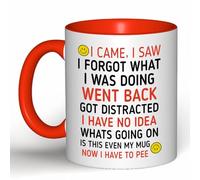 Funny 'I Came, I Saw, I Forgot' Coffee Mug - Humorous Gift for Men & Women, Perfect for Birthday Gifts, Christmas Presents & Office White Elephant (Red)