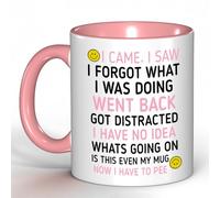 Funny 'I Came, I Saw, I Forgot' Coffee Mug - Humorous Gift for Men & Women, Perfect for Birthday Gifts, Christmas Presents & Office White Elephant (Pink)