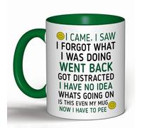 Funny 'I Came, I Saw, I Forgot' Coffee Mug - Humorous Gift for Men & Women, Perfect for Birthdays, Christmas, Secret Santa & Office Gifts (Dark Green)