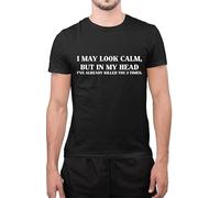 Funny I May Look Calm But in My Head Killed 3 Times Sarcastic Funny T-Shirt (Black, Small)