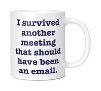 Funny I Survived Another Meeting That Should Have Been an Email Mug - 11oz White Work Bestie Secret Santa Gift for Working from Home
