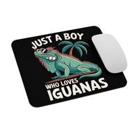 Funny Iguana Lizard Lover Just A Boy Who Loves Iguanas Mousemat Washable Desk Mat With Stitched Edges Mousepad For Studying Office Work 25X30Cm