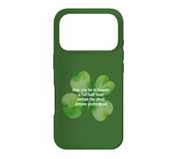 Funny Irish blessing heaven half hour devil dead luck erin Case for iPhone 17 Pro