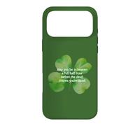 Funny Irish blessing heaven half hour devil dead luck erin Case for iPhone 17 Pro Max