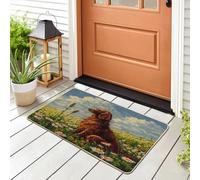 Funny Irish Setter Dog Front Black Door Mat Outside Inside Entrance 29 * 17, Spring Pixel Daisy Chien Outdoor Indoor Washable Doormat, Small Puppy Classroom Patio Garage Shoes Off Doormat