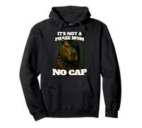 Funny It's Not A Phase Mom No Cap Emo Capybara Meme Pullover Hoodie