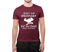 Funny Just an Ordinary Demi Dad Youre Welcome Fathers Day T-Shirt (XXL - Wine)
