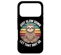 Funny Just Slow Down Let That Go Sloth Case for iPhone 17 Pro