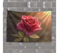 Funny Kitchen Decor A Beautiful Red Rose Illuminated by Sunlight Tapestry Funny Room Decor Wall Tapestry College(100X150CM)