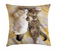 Funny, Kitten Siblings Lying Beside Sleepy Heads Cat Pet Animal Lovers Best Friends Image Cushion Cover Lovely Throw Pillow Case Decor Pillowcase For Living Room Bedroom Birthday 45X45Cm