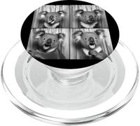 Funny Koala Face Laughing Koala Animal Photo Cute Koala PopSockets PopGrip for MagSafe