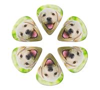 Funny Labrador Puppy Dog 6 Pack Guitar Picks with Organizer Storage Box, Thin-Medium-Heavy Picks Handmade Plectrums Guitar Plectrums Bass Ukulele Picks Acoustic Guitar Lovers Gift