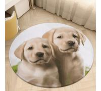 Funny Labrador Puppy Dog Area Rug Washable Round Rug Carpet Soft Non-Slip TPR Bottom Door Mat Low Pile Waterproof Floor Carpet Print Mat Decor for Bedroom Living Room Bathroom 80 * 80cm