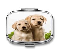 Funny Labrador Puppy Dog Pill Box 2 Compartment Decorative Metal Pill Case for Pocket Or Purse Travel Portable Medicine Box Pill Container Organizer for Vitamins Fish Oils Supplements