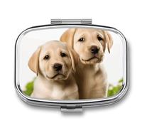 Funny Labrador Puppy Dog Pill Organizer Small Pill Box with Two Compartments Pill Case Metal Medicine Organizer Portable Medicine Box Holder Medication Holder Travel Pill Container