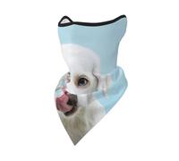 Funny Labrador Windproof Mask,Neck Gaiter Winter Motorcycle Face Cover