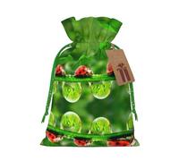 Funny Ladybug Christmas Drawstring Sack Gift Bag, Lightweight And Cute In Design
