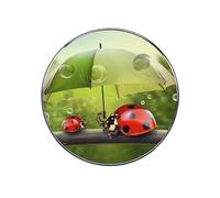 Funny Ladybug Holding Umbrellas Fridge Sticker Funny Fridge Magnets Novelty Round Fridge Magnets Reusable for Whiteboard, Locker, Kitchen, Office- Strong Decor Magnetic Stickers