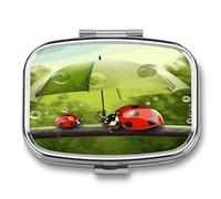 Funny Ladybug Holding Umbrellas Pill Box Medicine Pill Organizer Small Pill Case Travel Pill Container Portable Pill Case for Pocket 2 Compartment Pill Holder Pill Boxes for Travel