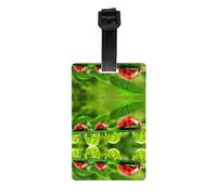 Funny Ladybug Holding Umbrellas Print