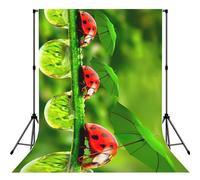 Funny Ladybug Holding Umbrellas Print Photo Studio Background 5x7ft Soft Photo Backdrop Curtain For Studio Content Creator Equipment