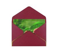 Funny Ladybug Print Horizontal Gold-Edged Pearl Greeting Card W/Envelope-Holiday,Birthday,Anniversary,Party(2pcs)