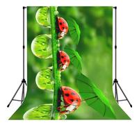 Funny Ladybug Print Photo Studio Background 5x7ft Soft Photo Backdrop Curtain For Studio Content Creator Equipment