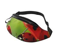 Funny Ladybug Printed Waist Bag with Headphone Jack, Personalized Bumbags Fanny Packs Unisex Running Hiking Crossbody Bags for Men Women