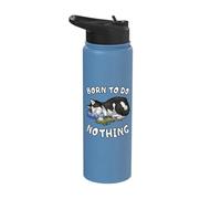Funny Lazy Cat Sleeping Born to Do Nothing Stainless Steel Insulated Water Bottle