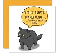Funny Leaving Card for Colleagues Women Men - Sassy Cat - Sorry Your Leaving Good Luck In Your New Job Card, 145mm Banter Greeting Cards, Joke Rude Gifts Congratulations Card