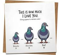 Funny Love Card - “This Is How Much I Love You” Pigeon Design, 145mm x 145mm Square Greeting Card with Kraft Envelope - Romantic/Anniversary/Valentines for Him or Her