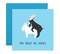 Funny Love or Anniversary Card - You Make Me H*rny Goat - Humorous Card for Him, Her, Girlfriend, Partner, Spouse, Wife, Husband, Boyfriend, Babe, Darling - Valentines -Comes with Fun Stickers