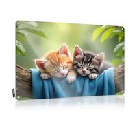 Funny Metal Bar Signs Two Cute Kittens Sleeping On A Branch Tin Sign Bar Sign Home Decor Funny Wall Signs(30X40CM)