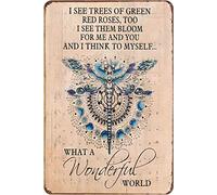 Funny Metal Sign Teemodel Wonderful World Dragonfly Aluminum Sign Home Kitchen Bar Cafe Club Cave Wall Decor Vintage Dragonfly Aluminum Sign 8x12 Inch