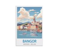 Funny Metal Sign Vintage Tin Sign Bangor Northern Irelands Garden & Kitchen Poster, Inspirational Sign Home Wall Art Decor for Home Kitchen Bar Club Decoration 20x30cm