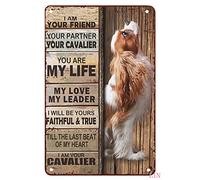 Funny Metal Signs Decor Cavalier King Charles I am Your Friend Your Partner Your Cavalier Metal Sign Vintage Home Decor Rustic Aluminum Tin Signs Wall Art Metal Poster for Bar 8x12 inch