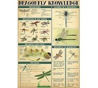 Funny Metal Signs Dragonfly knowledge Aluminium Sign Retro Tin Signs Vintage Metal Tin Sign For Bar Home Wall Metal Decoration 8x12Inches