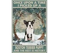 Funny Metal Signs I picked up a boston terrier puppy Aluminium Sign Retro Tin Signs Vintage Metal Tin Sign For Bar Home Wall Metal Decoration 8x12Inches