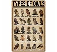 Funny Metal Signs Types of Owls Tin Sign Knowledge Science Poster Information Table Aquarium Home Farm School Tin Sign Art Wall Metal Decor Funny Signs 8x6 inch