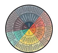 Funny Metal Tin Sign Feelings Chart Color Wheel Round Metal Sign Mood Meter for Self Awareness Feelings Wheel Chart Tin Sign Vase Flowers Poster Plaque Entryway Decor Gallery Wall Sign 12 X 12 IN