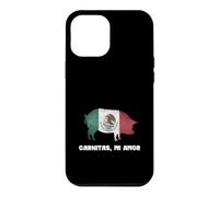 Funny Mexican Food Carnitas Mi Amor Case for iPhone 12 Pro Max