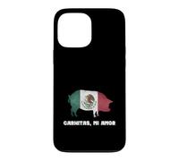 Funny Mexican Food Carnitas Mi Amor Case for iPhone 13 Pro Max