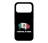 Funny Mexican Food Carnitas Mi Amor Case for iPhone 17 Pro Max