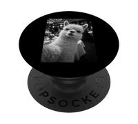Funny Mildly Offended Alpaca Meme Side Eye PopSockets Adhesive PopGrip