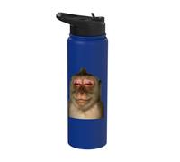 Funny Monkey Meme Humor Curious Ape Brainrot Gift Tee Y2K Stainless Steel Insulated Water Bottle