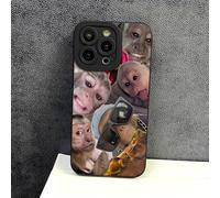 Funny Monkey Phone Cases for iPhone, Trendy Monkey Phone Cases Compatible, All-inclusived Shockproof TPU Clear Protective Cover for iPhone 16/15/14/13/12/11 ProMax (Black,For iPhone 13 Pro)