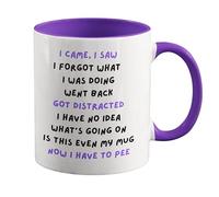 Funny Mug - Birthday Christmas Novelty for Mum Dad Friend Sister Brother Grandparents for Him Her Secret Santa - I Came I Saw I Forgot (Purple) CMUG609