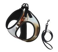 Funny Naughty Sheep Tongue Cute Animal print Dog Harness, 2X Buckle,Dog Vest,No Pulling Front Leash Clip,for Small Medium Dogs